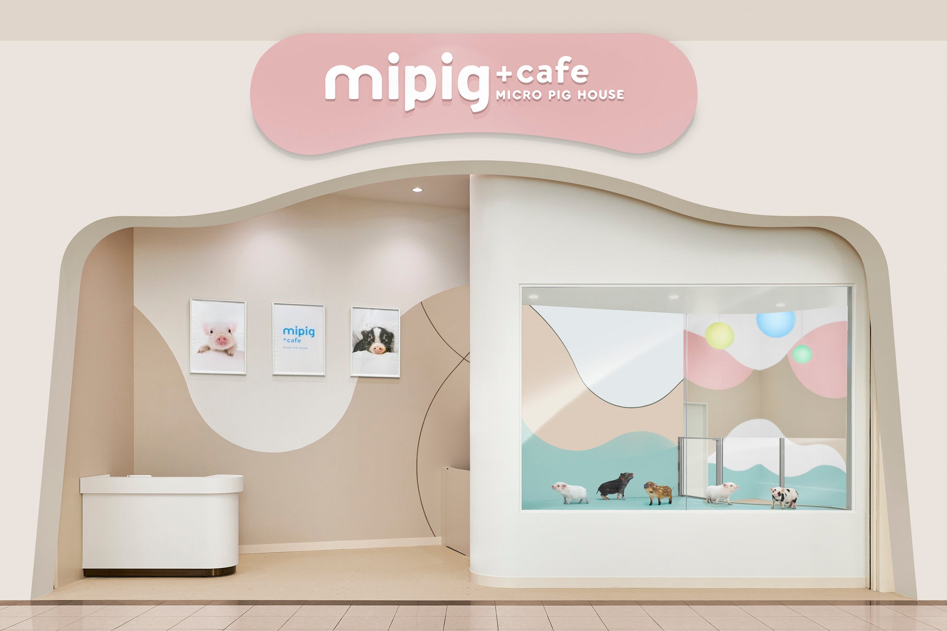 【満員御礼】東北・仙台初上陸「mipig cafe イオンモール名取店」オープン初日から大盛況！限定キャンペーン＆ポストカードプレゼントも実施中