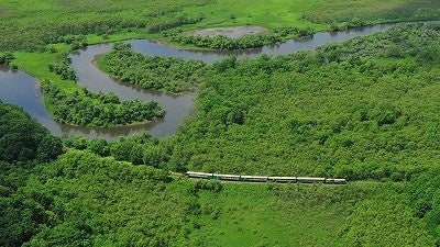 パティーナ大阪、大阪出身のグラフィックデザイナーVERDYとのコラボレーションアイテムを発表