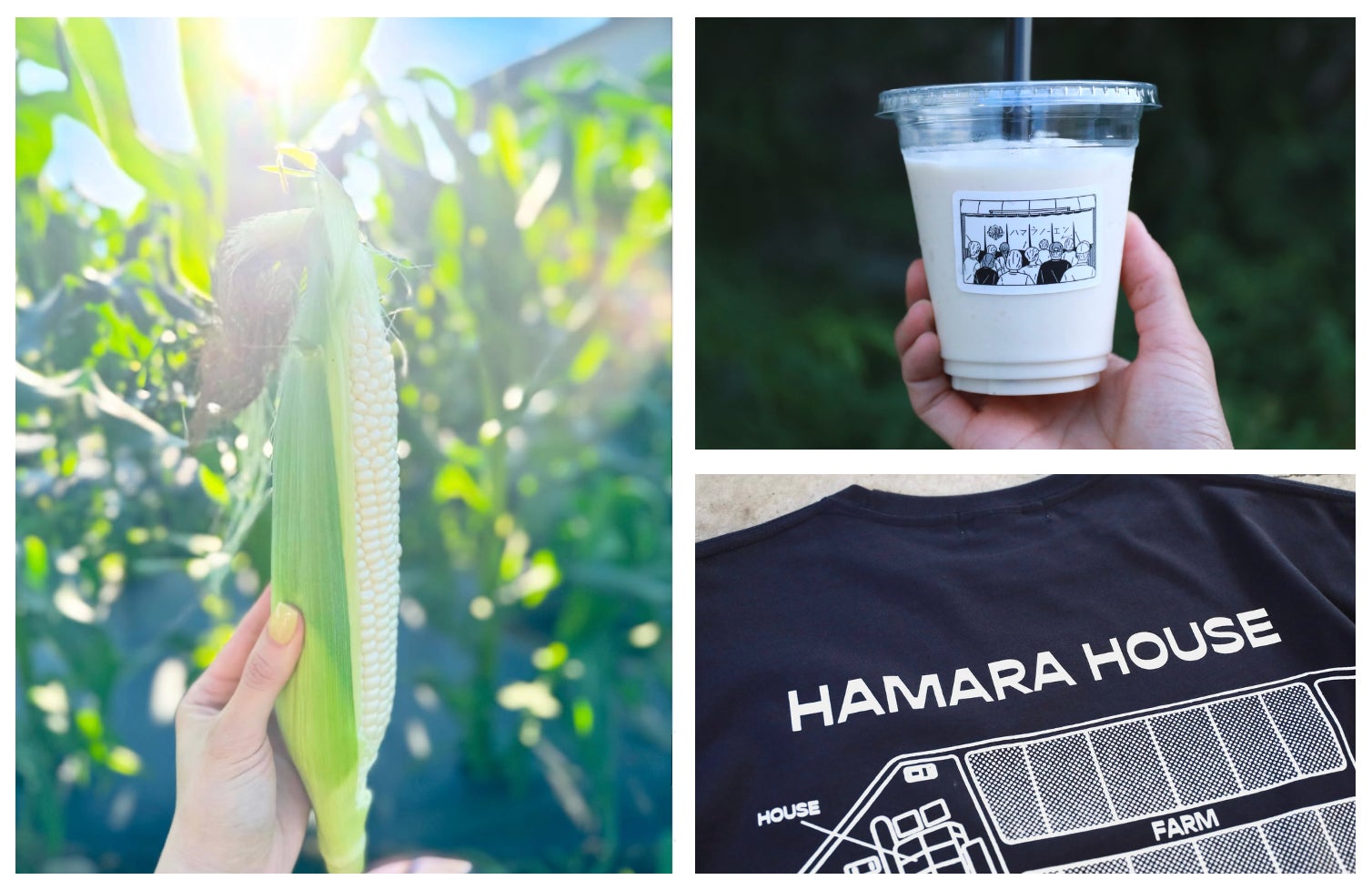 フランスの伝統菓子「パリブレスト」本日より発売開始！7周年を迎えるノボテル沖縄那覇から、夏のヨーロッパの風をお届けします。