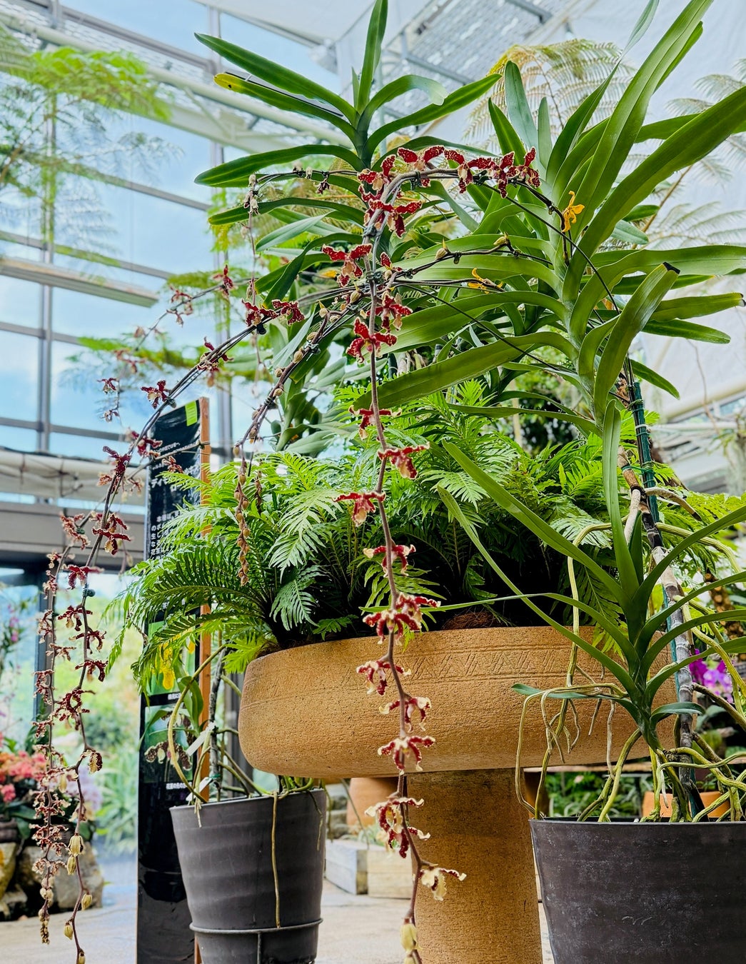 ずぶぬれ覚悟の夏休み!「夏のアルプス大冒険」開催|国営アルプスあづみの公園【大町・松川地区】