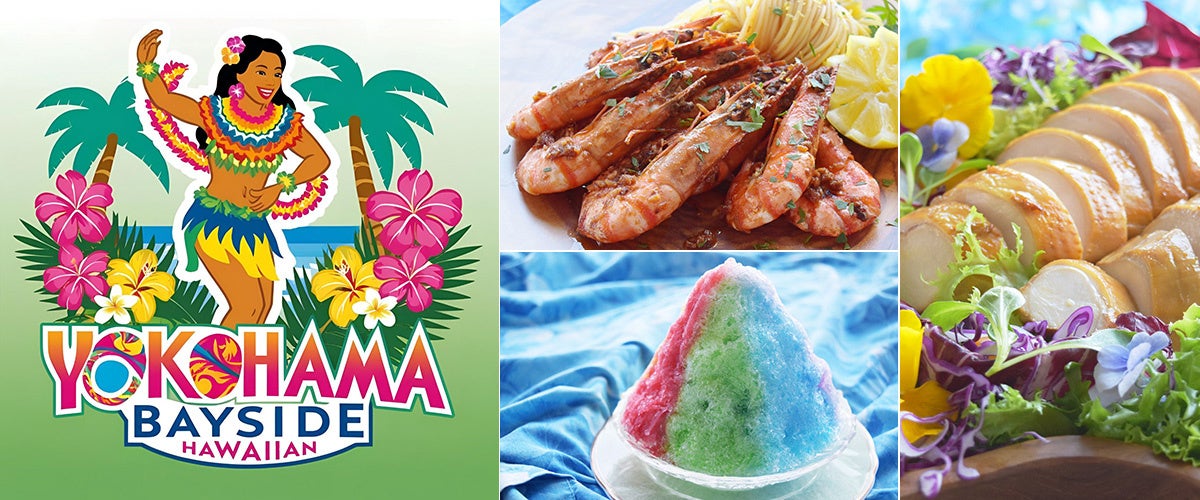 南紀・太地町の「花いろどりの宿 花游」で叶える!極上の“スリープツーリズム”