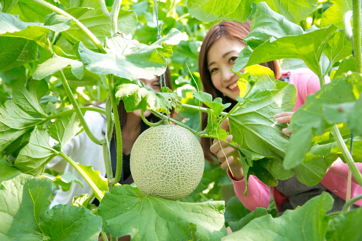 【日本一の星空】長野県阿智村 「星の村 七夕願いごとキャンペーン」 実施