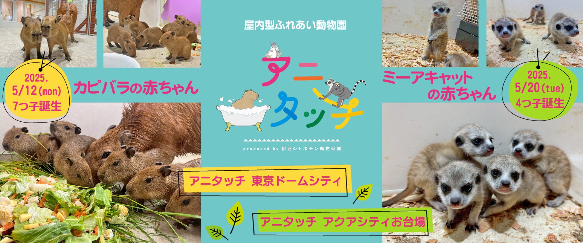 屋内型ふれあい動物園「アニタッチ」で動物の赤ちゃんが誕生！
