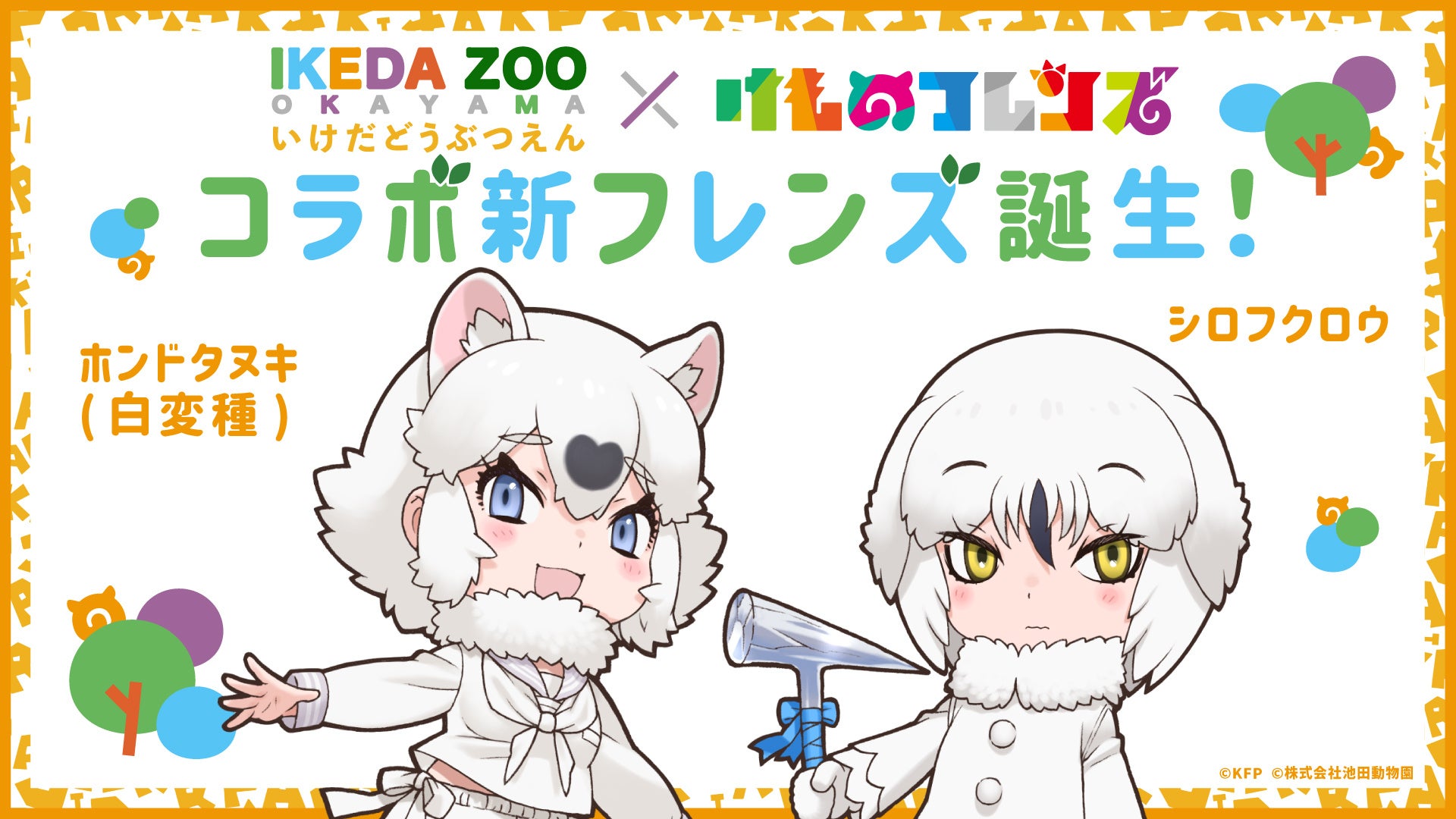 池田動物園×けものフレンズ7/17（木）よりコラボ企画開催！新フレンズ・ホンドタヌキ（白変種）＆シロフクロウが登場！