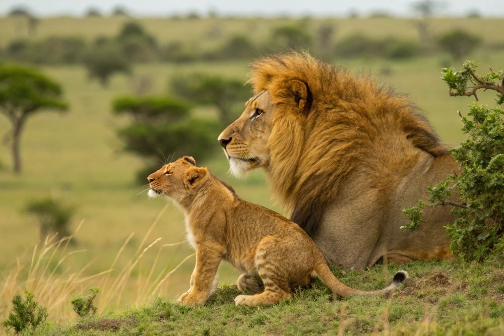 日曜日の「宿泊プラン」のご予約でトラベルポイント5倍!
