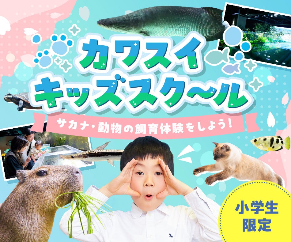 【日本唯一*の水族館直営スクール】小学生向け「体験学習型キッズスクール」を夏休みに開催！