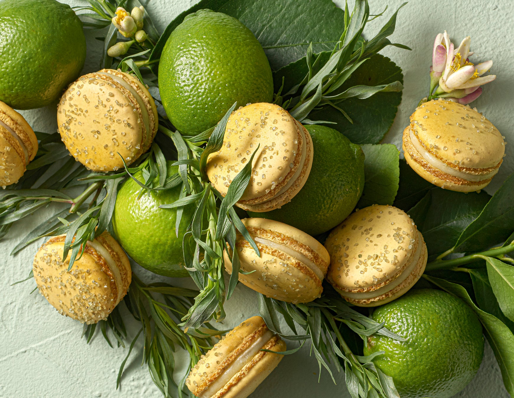 再生医療に対応する細胞輸送サービス「J SOLUTIONS PHARMA CELLS」を開始