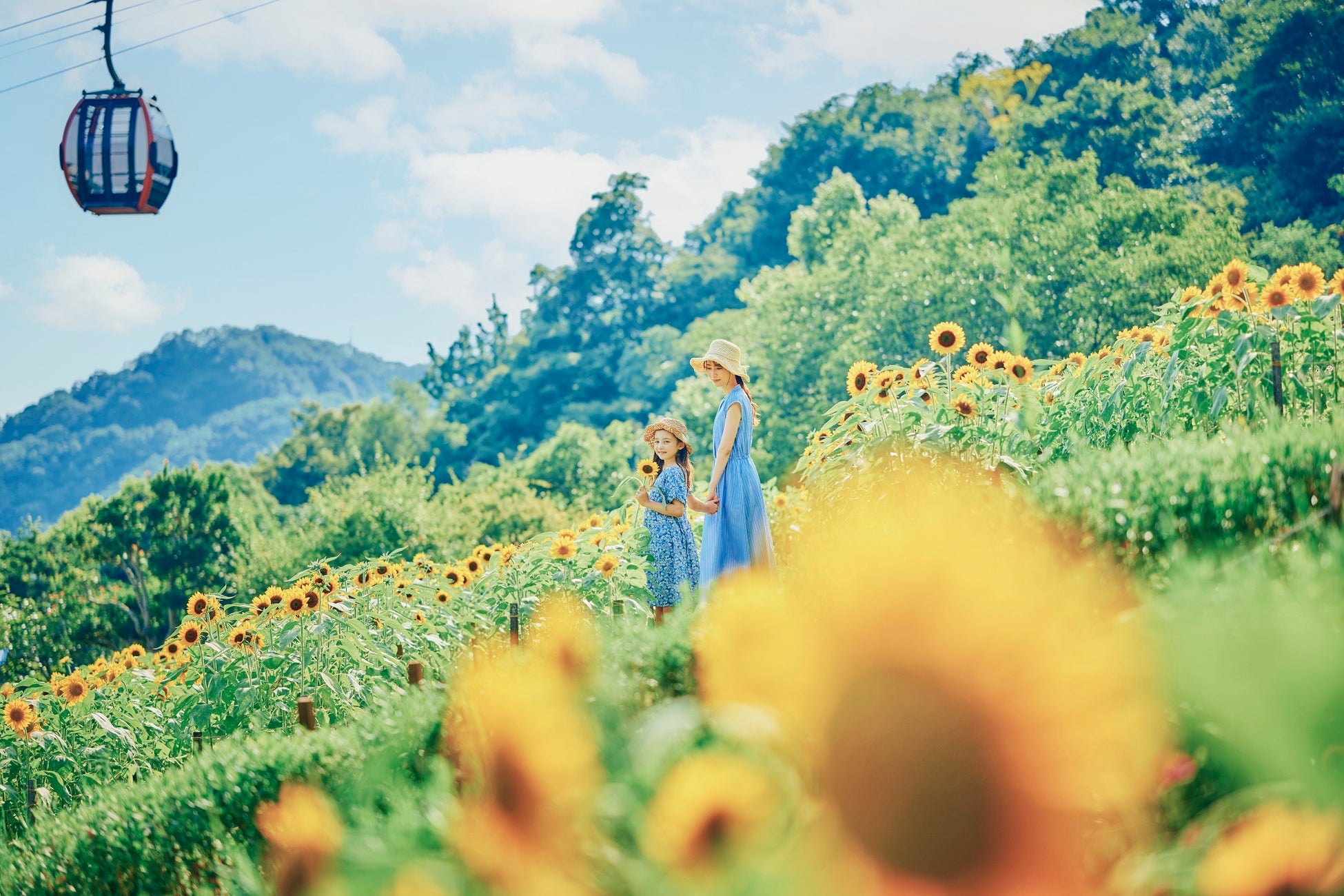 「きっと忘れない夏GARDEN FEST 2025-Summer-」がスタート。神戸布引ハーブ園が夏のリゾートに様変わり。昼はいっぱい遊んで、夜は「夜景×イルミネーション」の空間で、丸一日過ごせます！