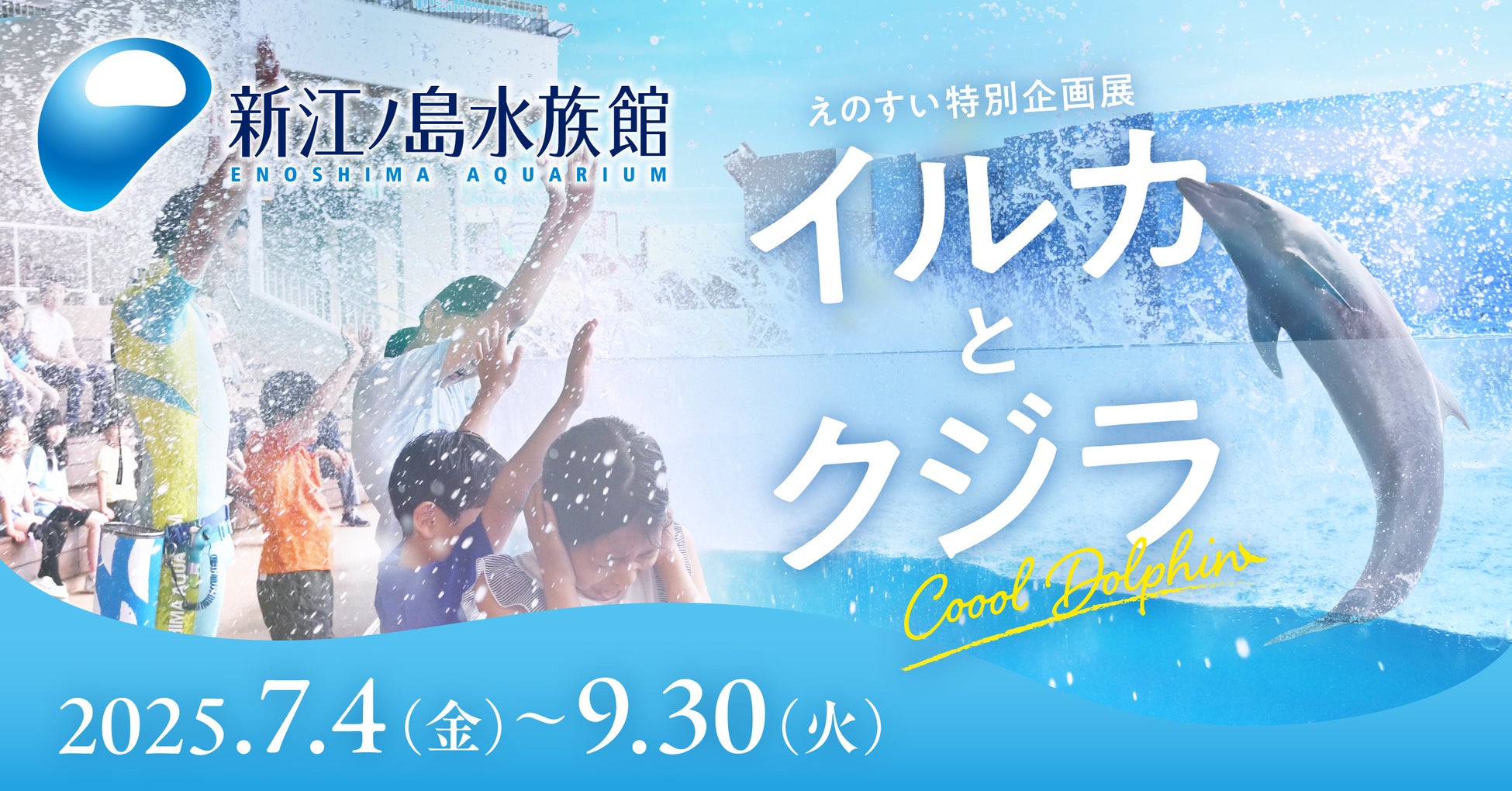 普段とはひと味違うCooolな”えのすい”が楽しめる えのすい特別企画展「イルカとクジラ Coool Dolphin」【特典付き前売り券 好評発売中】