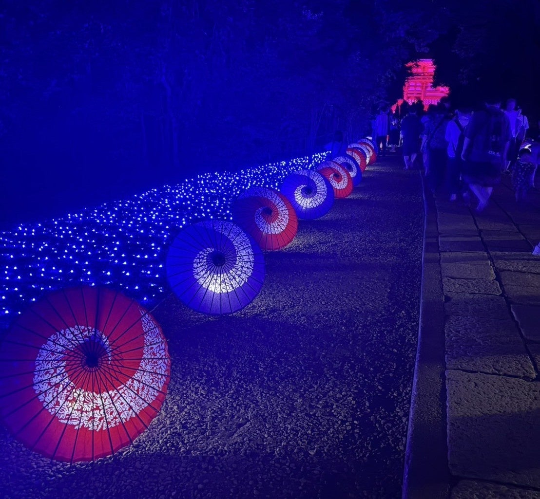 【埼玉・武蔵一宮氷川神社】和傘110本とLED2.5万個で光の回廊　国内外で反響の3日間