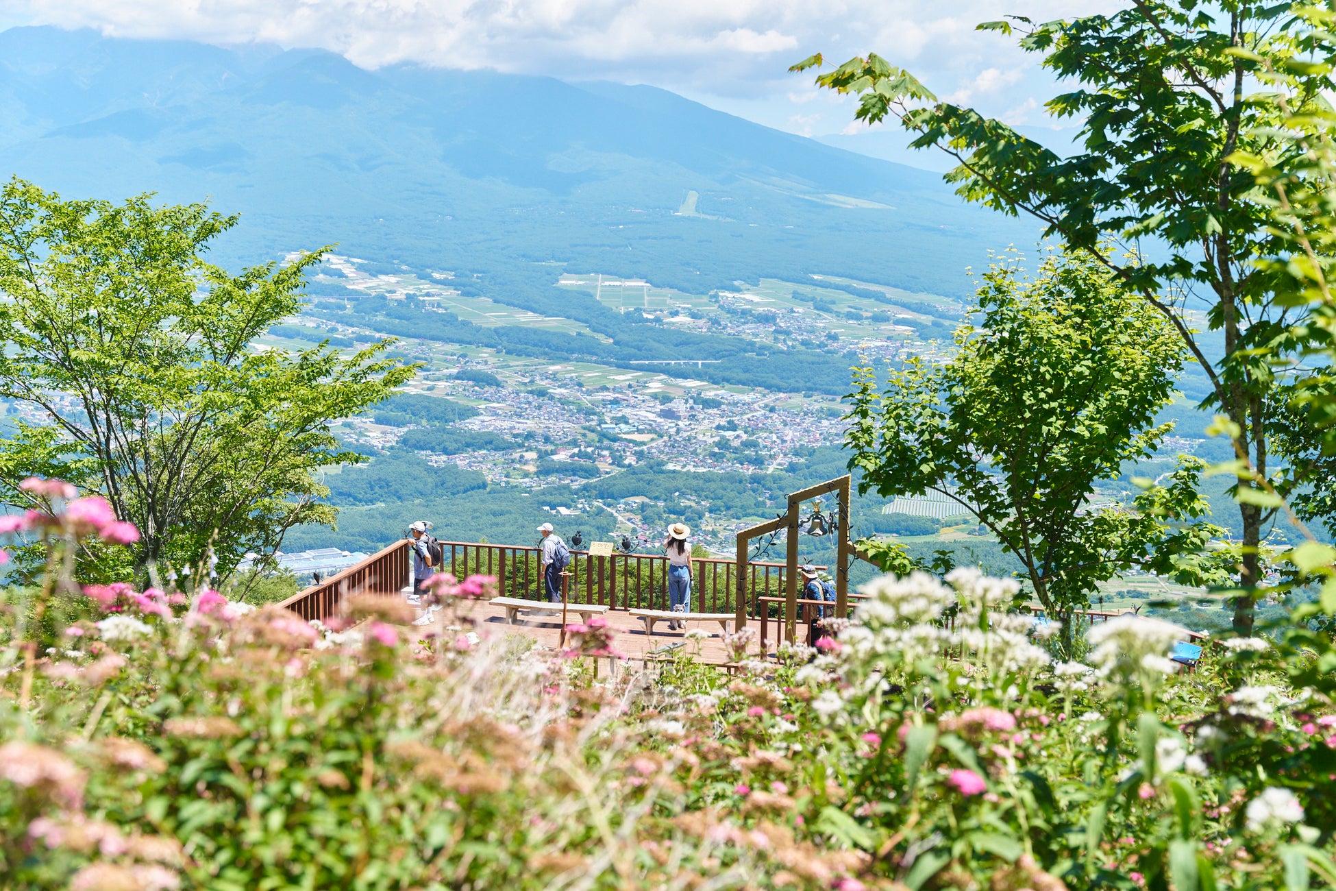 涼と花の頂へ。入笠山の“涼眺百花（りょうちょうひゃっか）”。夏の絶景と花時間