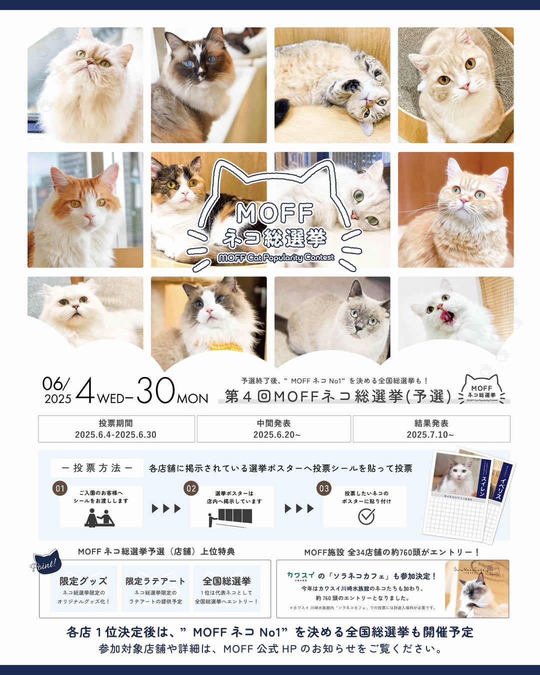 総勢760頭に及ぶ、第4回「MOFF ネコ総選挙」の予選結果発表！