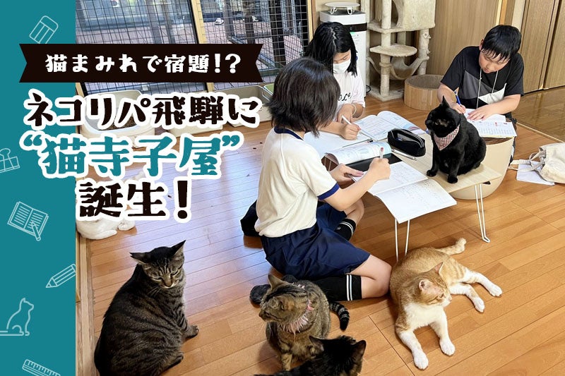 「猫まみれで宿題！？」ネコリパ飛騨に“猫寺子屋”誕生！放課後は猫と一緒に宿題＆お世話！保護猫活動が子どもたちの学び場に。
