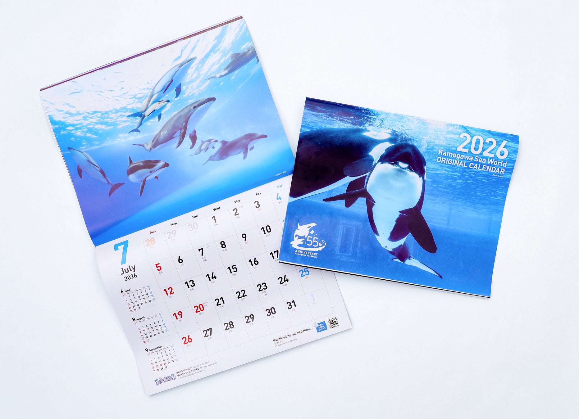 【鴨川シーワールド】【鴨川シーワールド×写真家あき】シャチをはじめ動物たちの魅力溢れる姿を撮影しました！