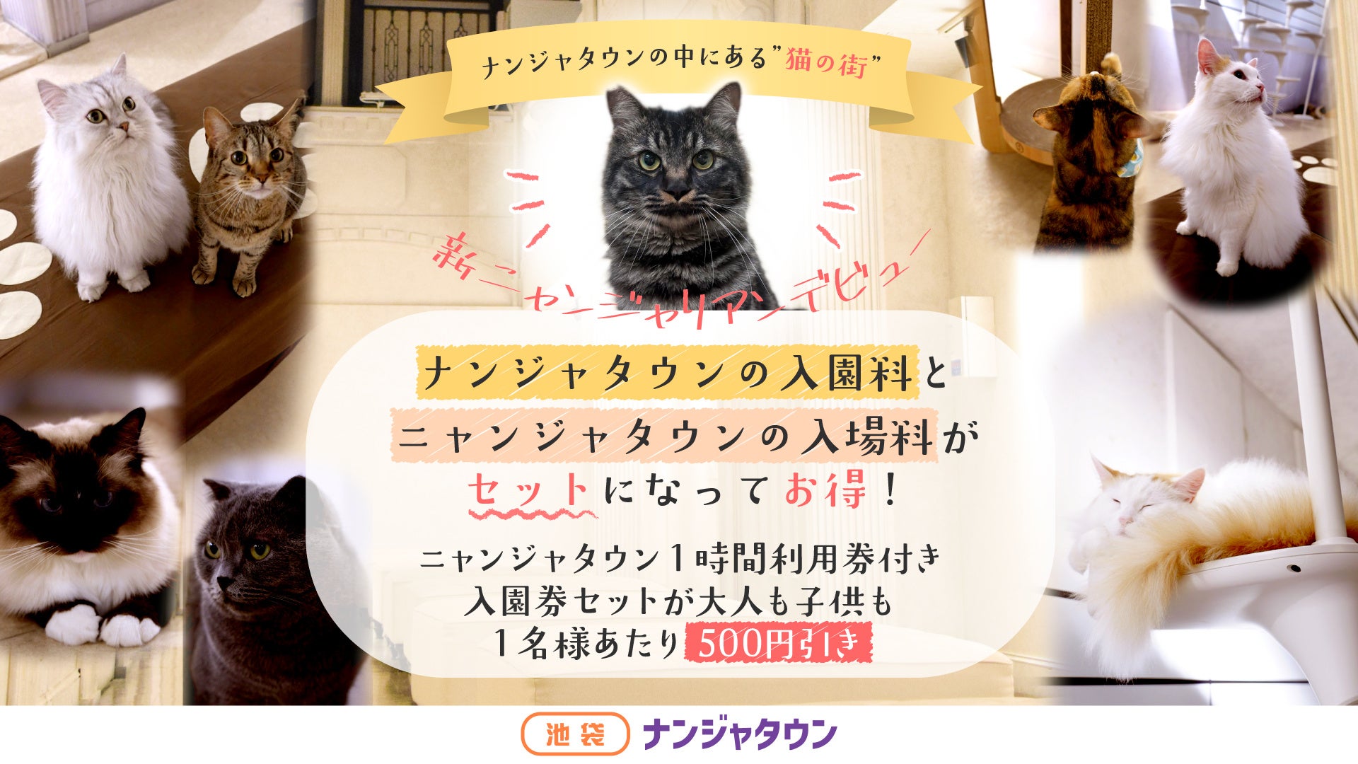 「ホース不要」x「USB充電」x「折り畳み」。これが、次世代の高圧洗浄機。