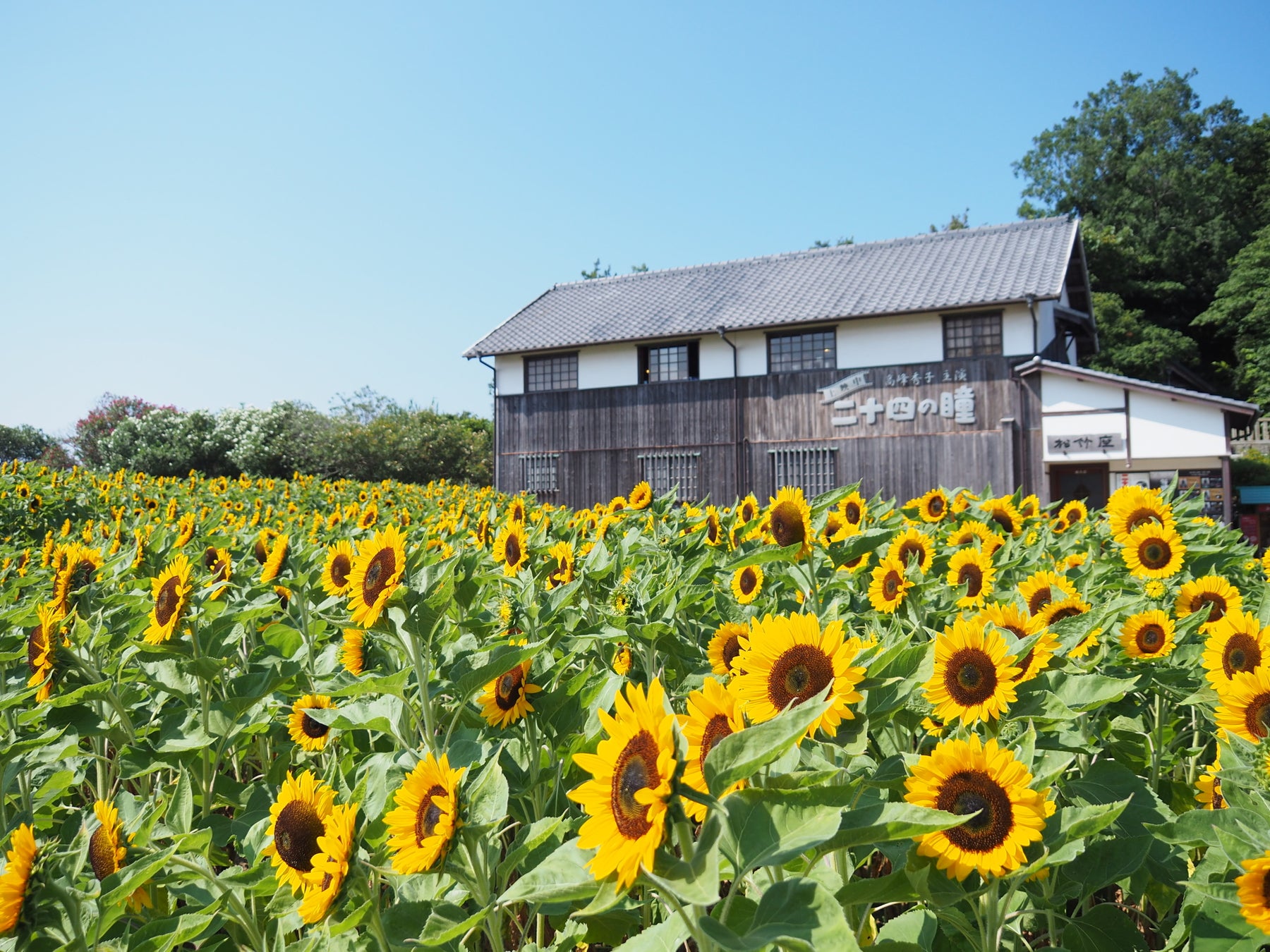 今年の夏休みは瀬戸内 小豆島へアートと昭和ノルタルジックの旅