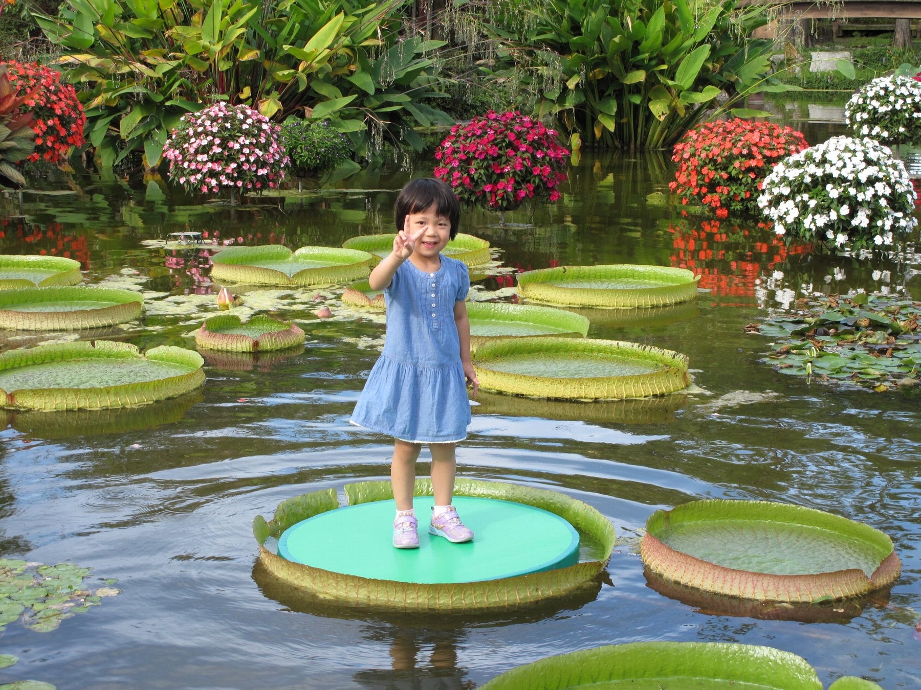 【沖縄ハーバービューホテル】開業3年目から続くチャリティーイベント 沖縄ハーバービューホテル50周年記念「第45回チャリティーいけばな展」~五十路に花添えて~」開催