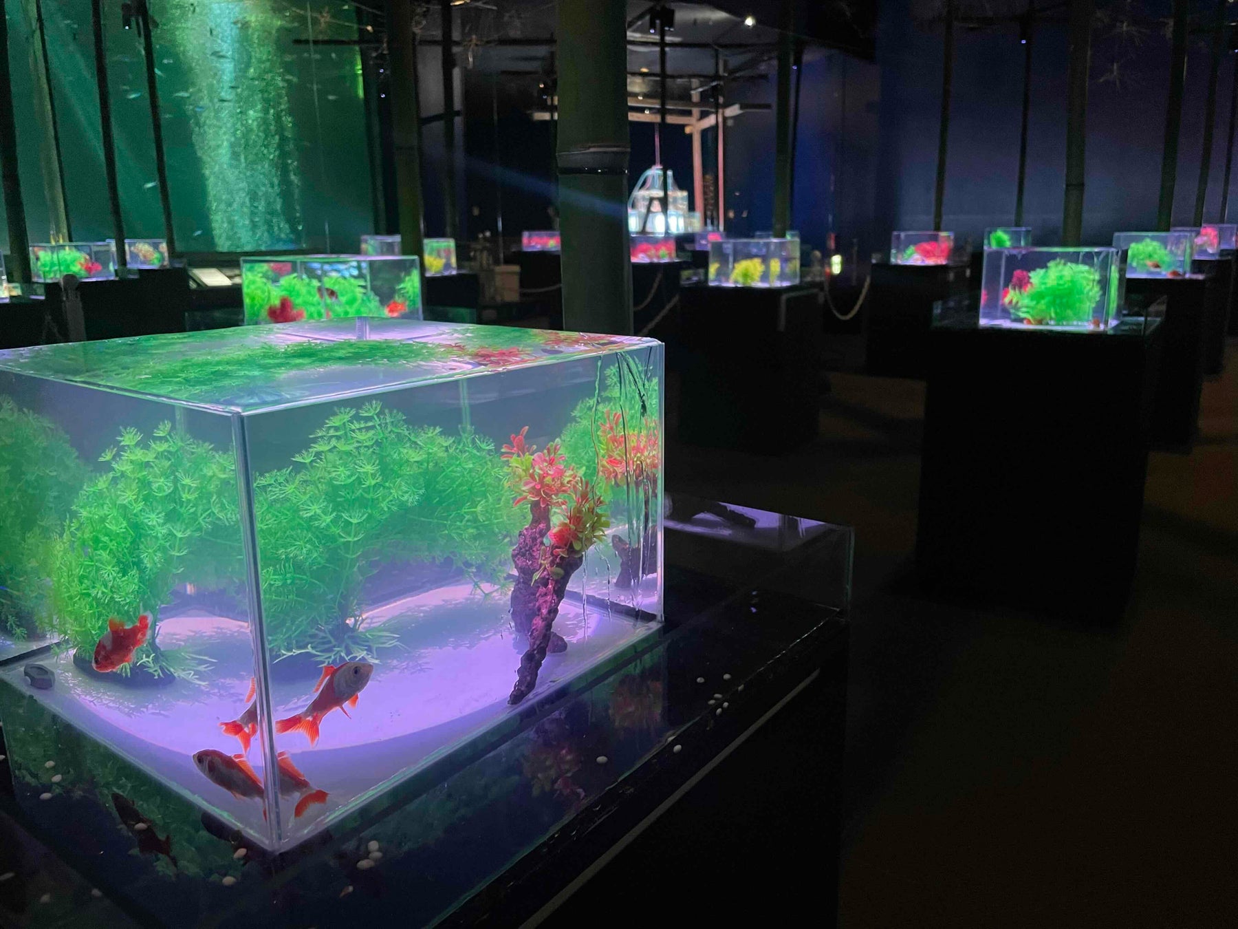 【ホテルメトロポリタン 丸の内】生ビールサーバー付き リフレッシュステイプランを販売