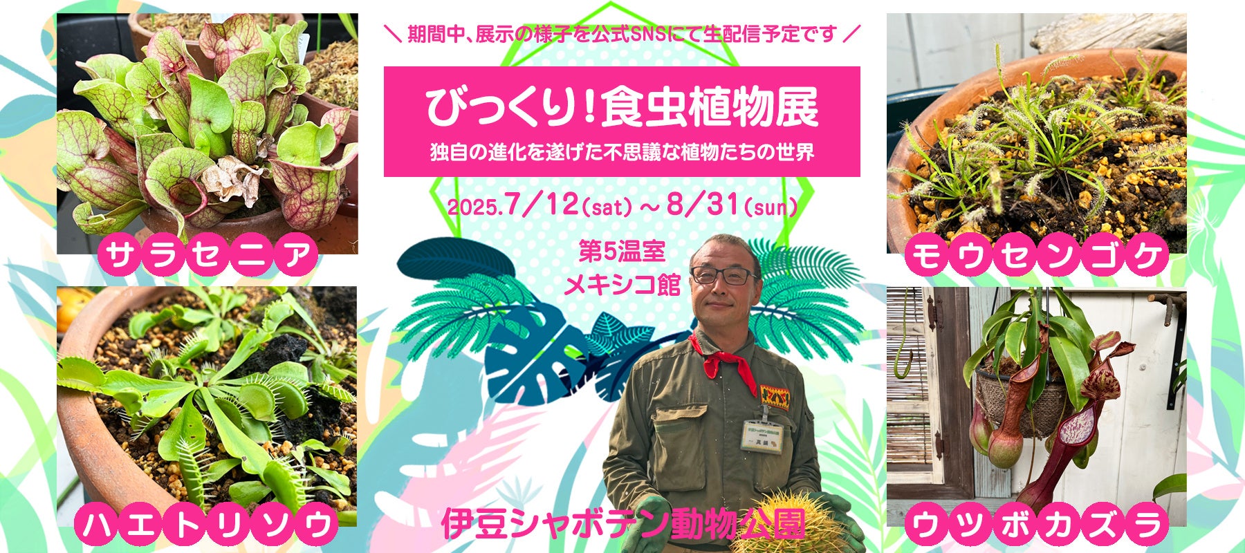 伊豆シャボテン動物公園で、夏休みの特別展示「びっくり！食虫植物展」を開催