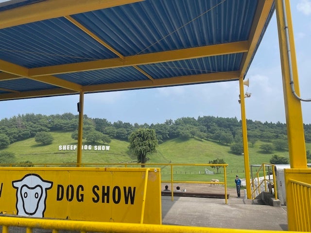 過酷な夏に牧羊犬として働くワンちゃんへプレゼント第一弾