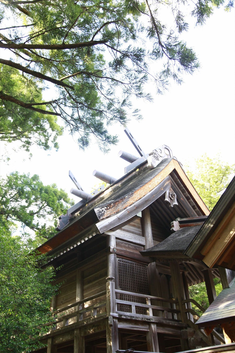 ［出雲市］約30年に1度の特別な時間（とき）　令和の御遷宮斎行記念 『須佐神社ご本殿見学ツアー』（８月２日・３日限定開催）