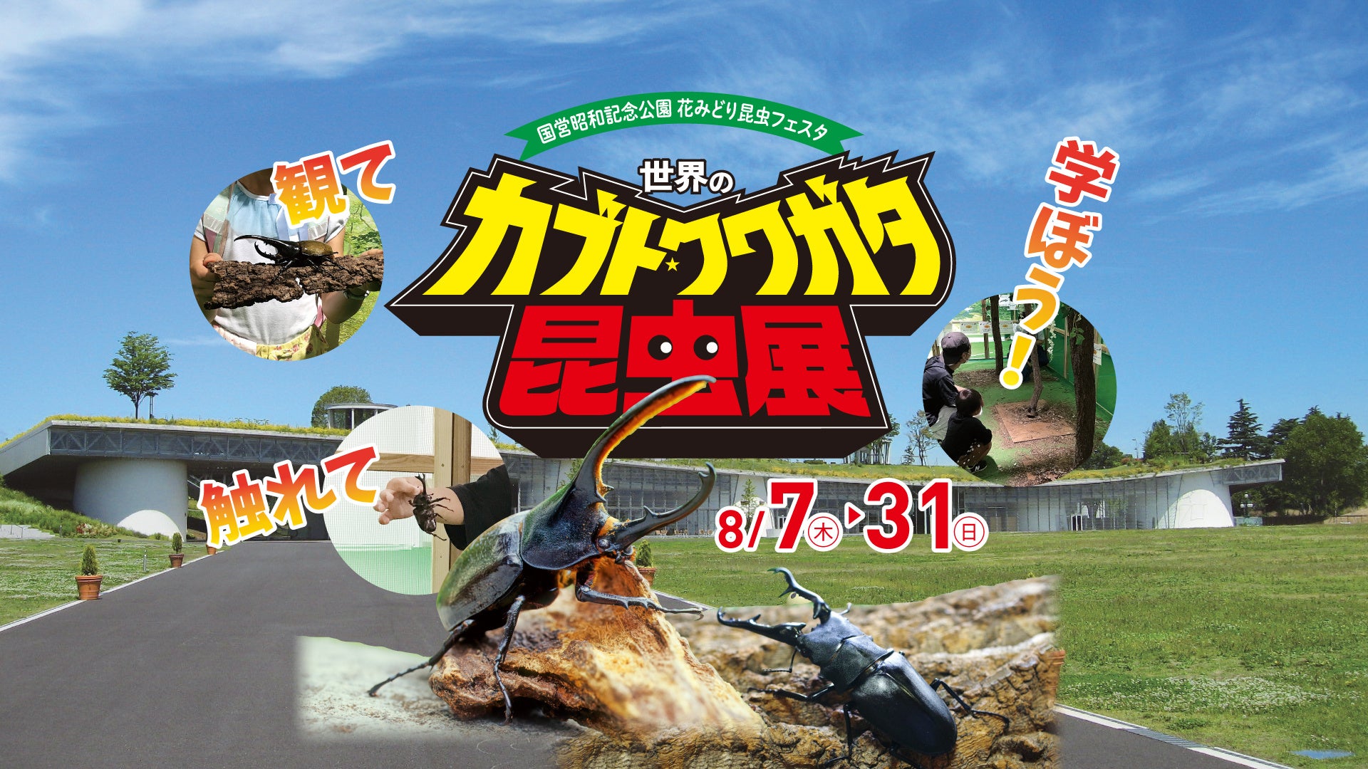 観て、触れて、学ぼう！『世界のカブト・クワガタ昆虫展』開催