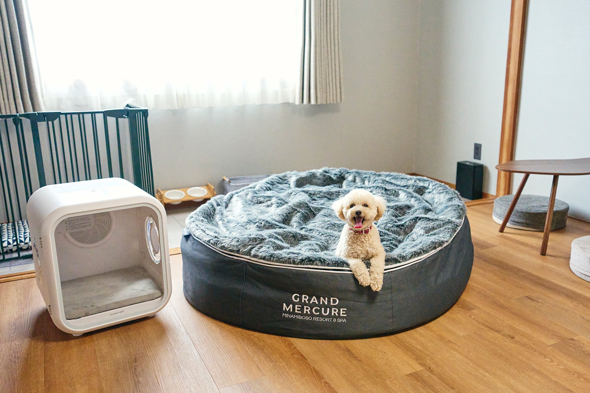 ペット用品メーカー5社とホテルが連携し、愛犬と過ごす快適な宿泊体験を提供【グランドメルキュール南房総リゾート＆スパ】【メルキュール京都宮津リゾート＆スパ】