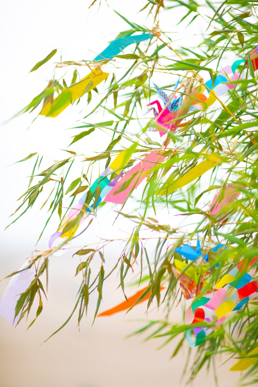 キャンプ道具はこれ以上買えない。そんなあなたへ贈るDODの新シリーズ「330(さんさんまる)」発売開始。