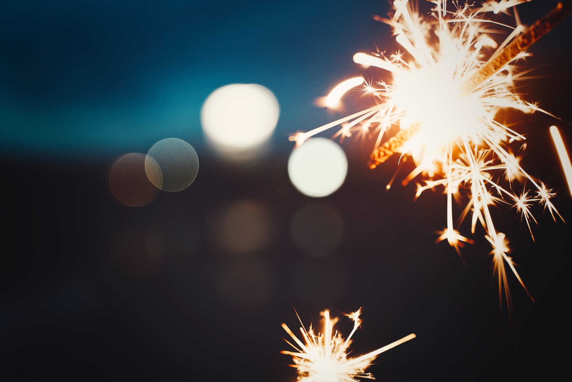 幻想的な夜の水族館で特別なひとときを『Nightscape(ナイトスケープ)こがねいろ2025』開催中