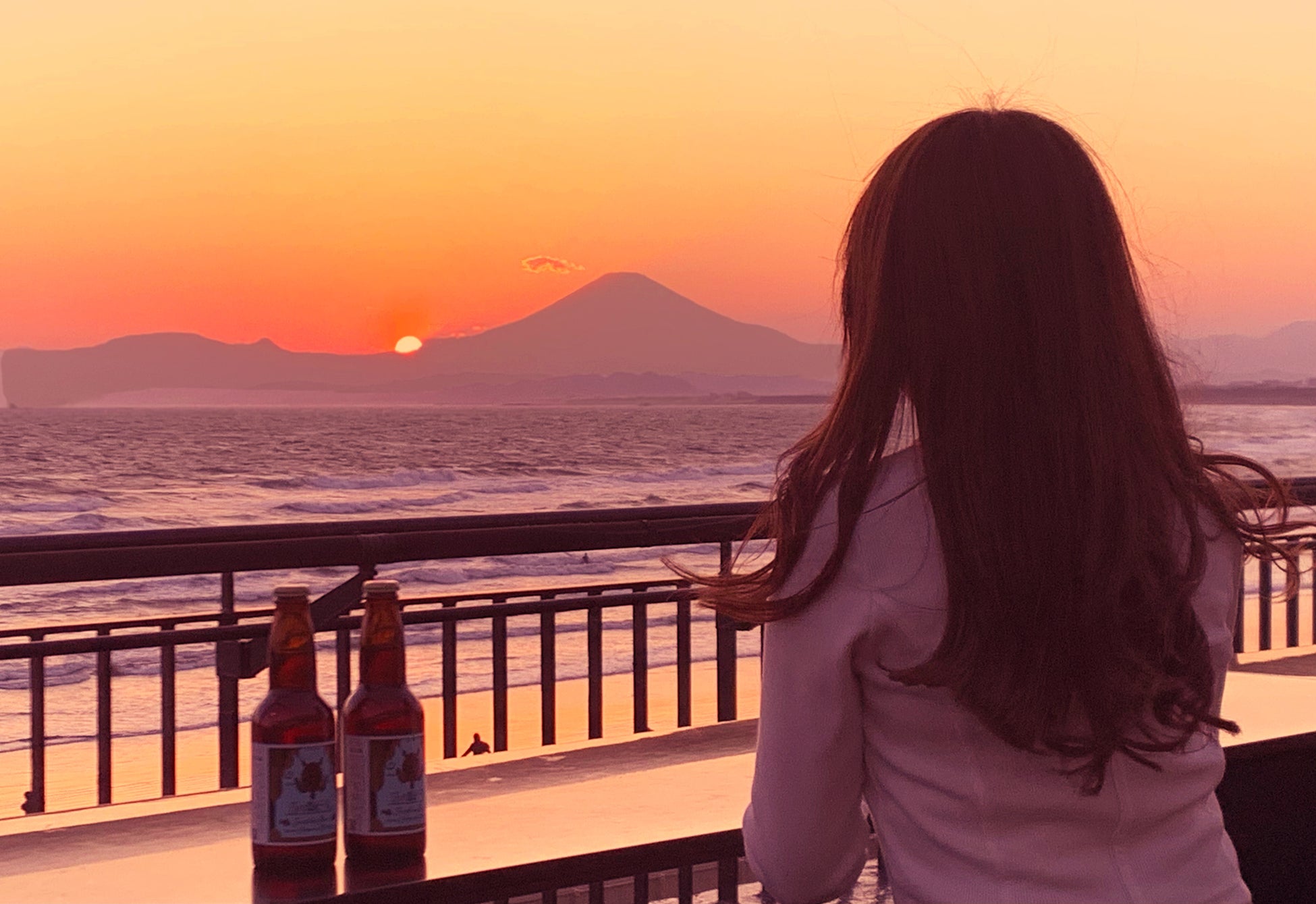 夏休みイベント 8月2・3日 駿府城公園にて開催。ボランティア大募集!入場特典や飲食割引あり。アイスフェス&アジアン夜市 SHIZUOKA 2025