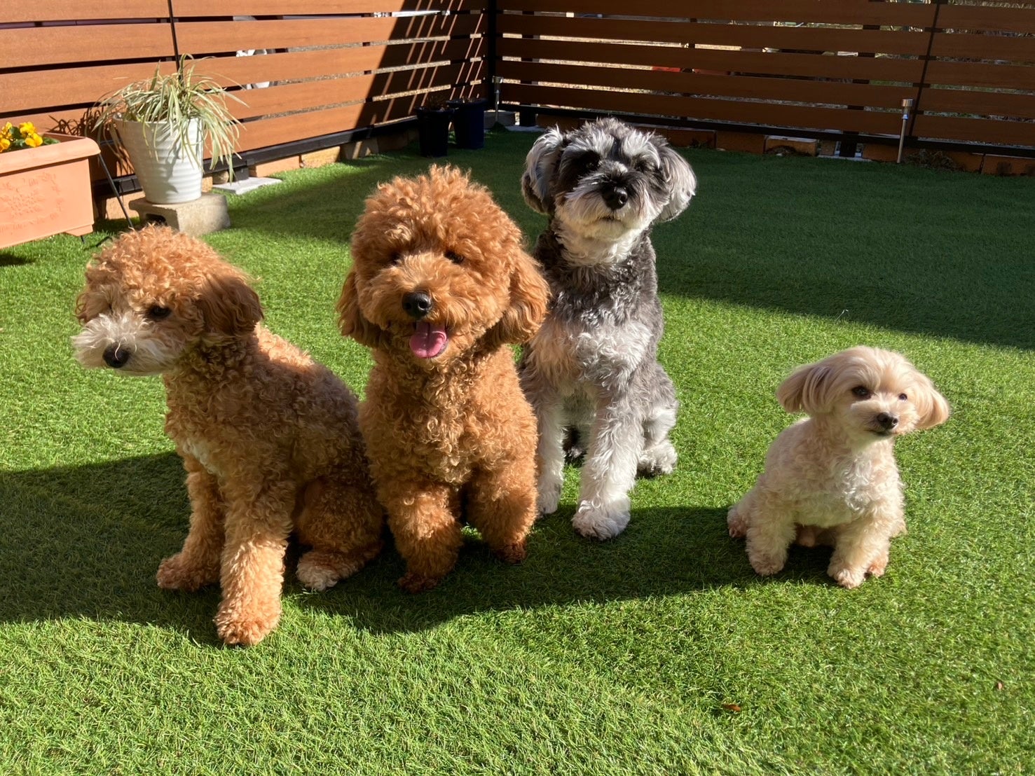 エーゲ海から地中海まで!トルコの「究極のダイビングガイド」