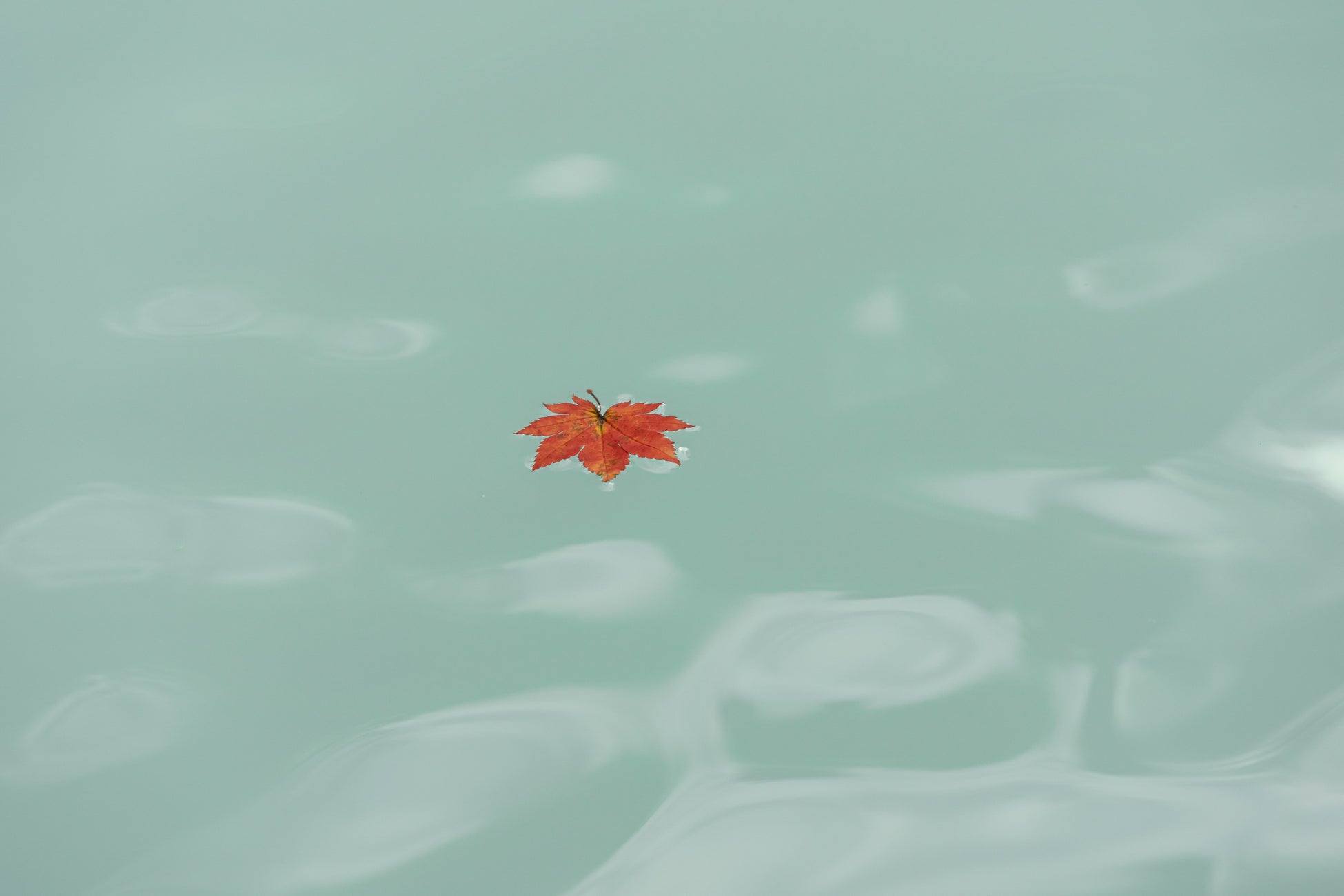 ― 自治体独自の「寺泊補助金」第一弾 ―「Temple Hotel 国昌寺」2025年7月対馬にプレオープン!