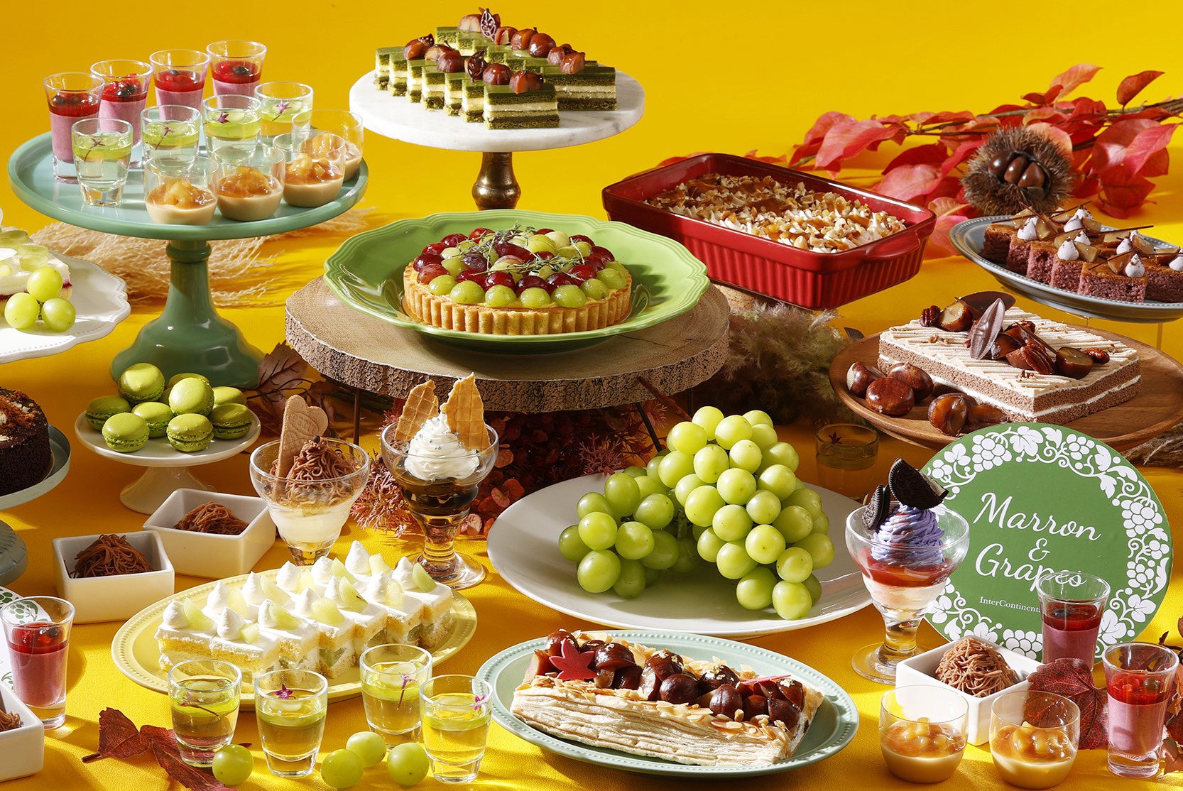 2026年春、よみうりランド園内に 『ポケパーク カントー』 が開業します!