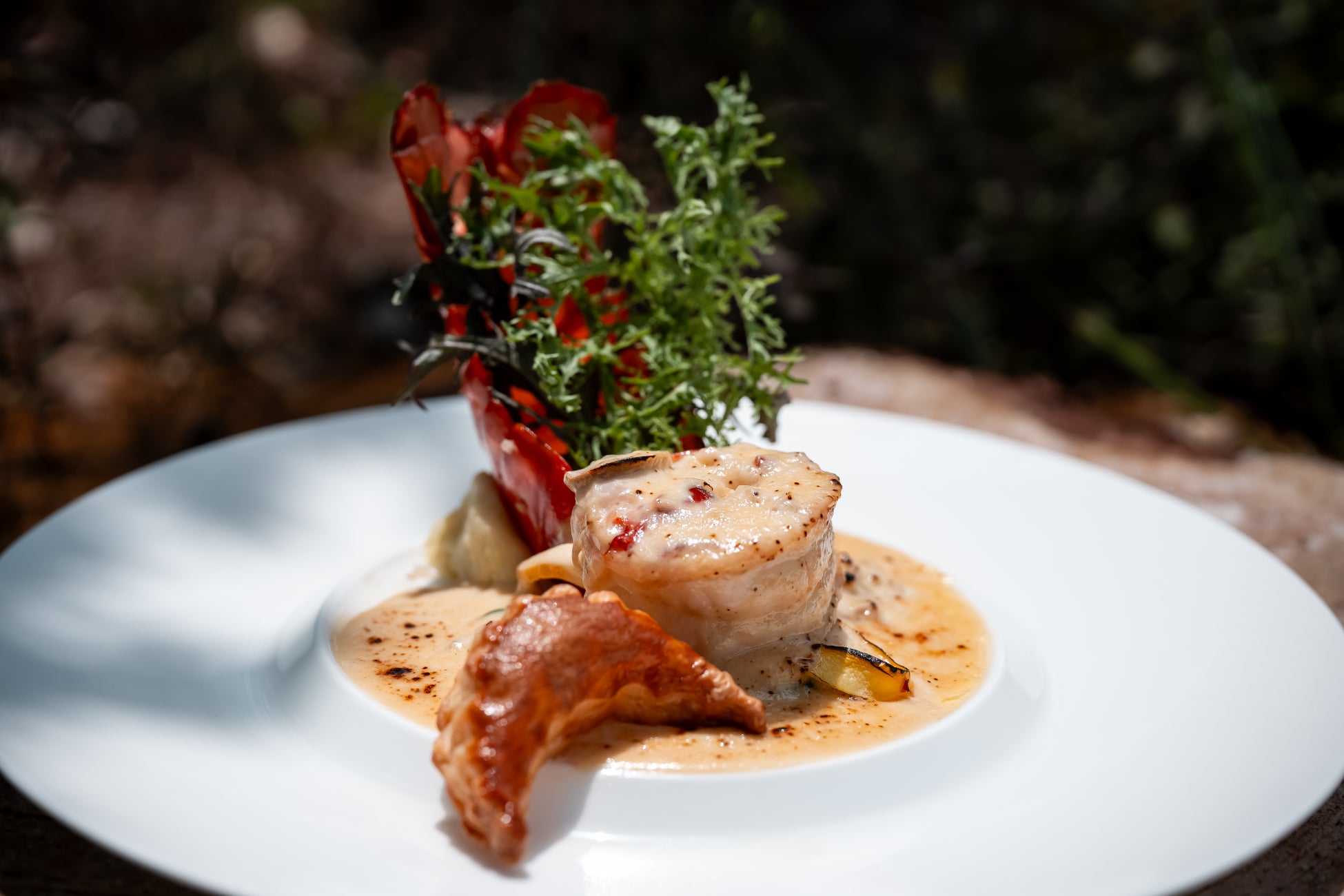 コギコギ株式会社、瀬戸内国際芸術祭 2025に初参加の香川県さぬき市で、一般社団法人さぬき市津田地区まちづくり協議会、高松琴平電気鉄道と共同でシェアサイクル事業を開始