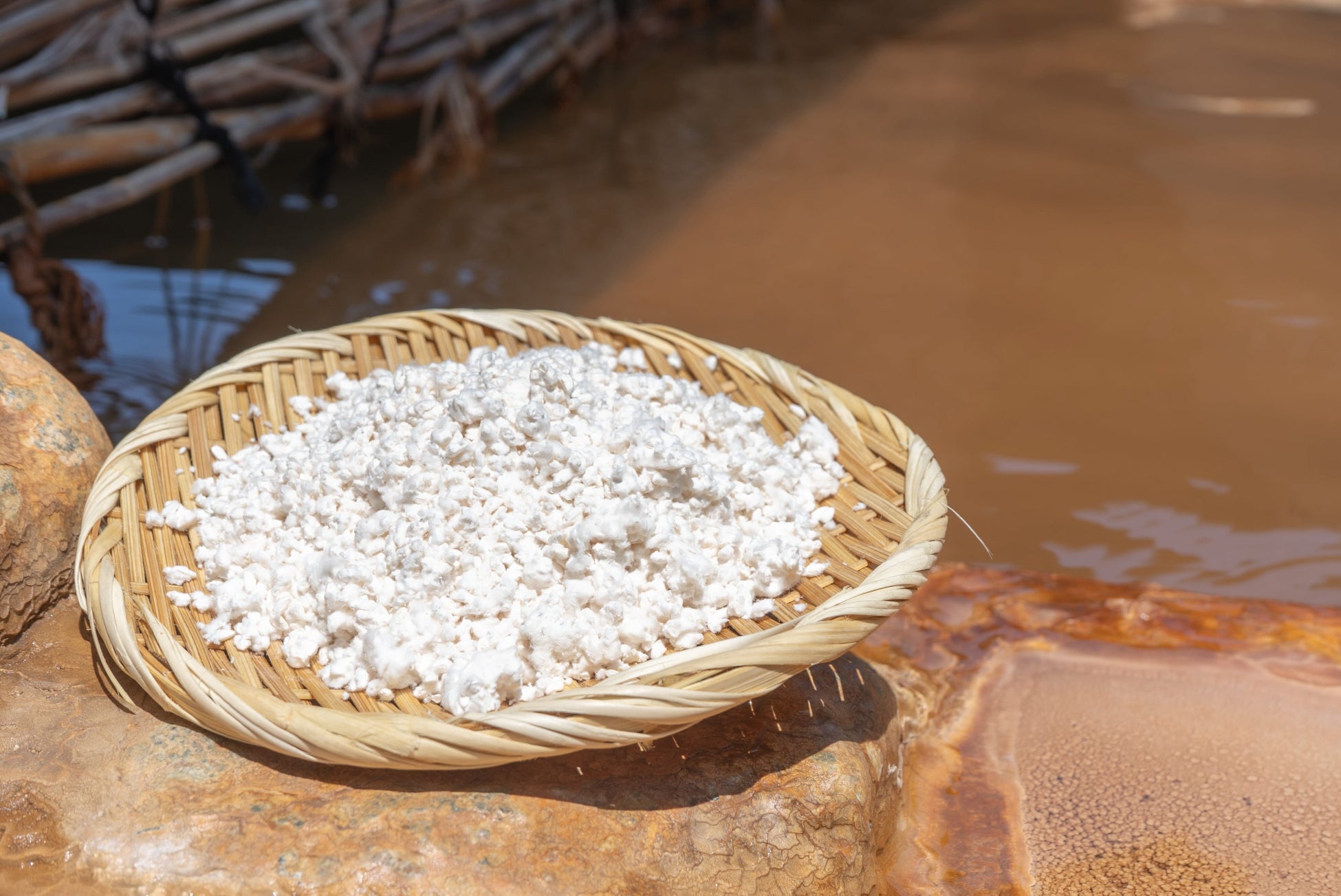 【リーガロイヤルホテル広島】芸術の秋、“見えないもの”を感じる旅へ『ひろしま美術館 入館券付 宿泊プラン』