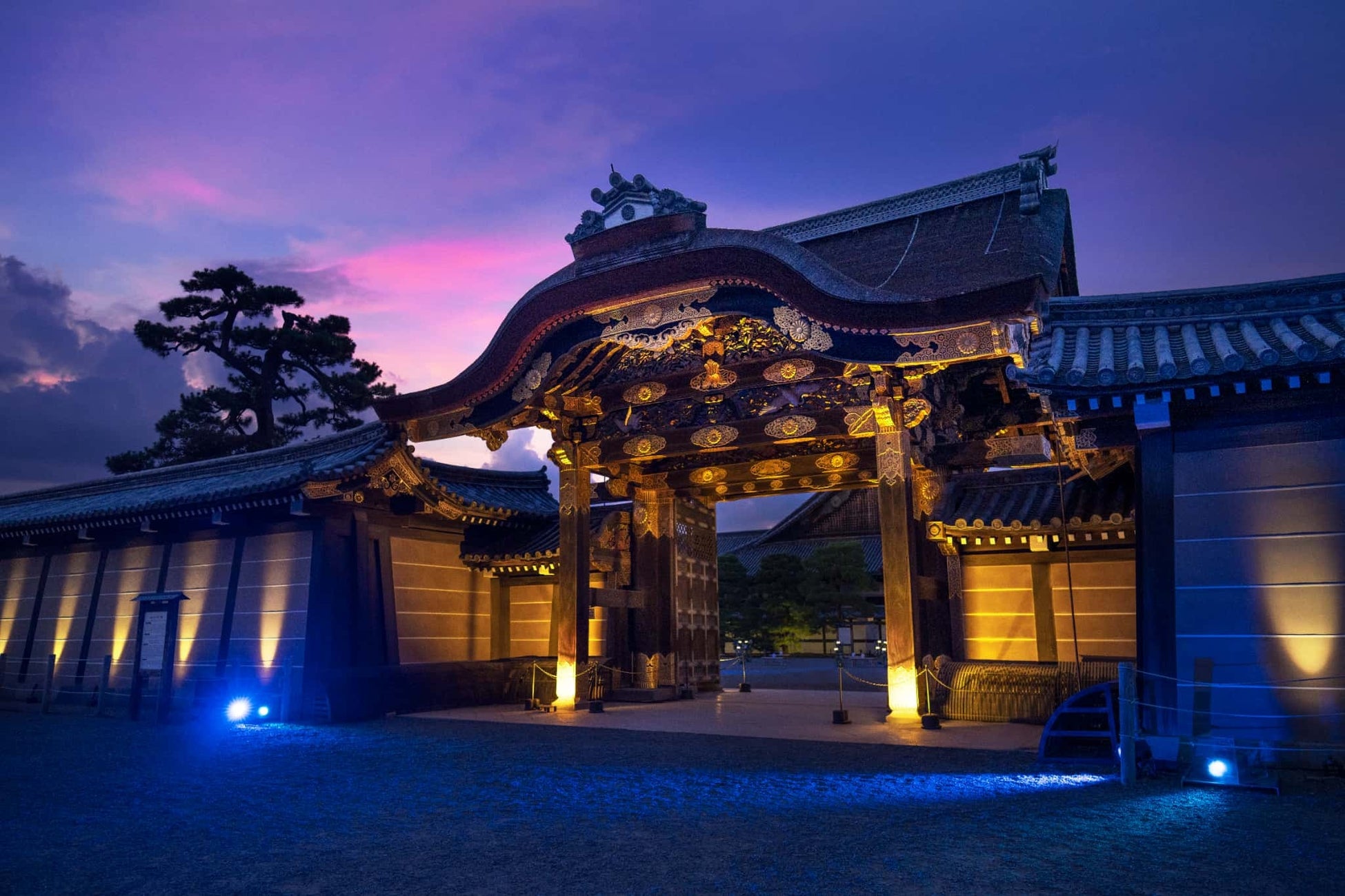 魅惑の世界へようこそ!「ナジャ・グランディーバ ショー ゴーゴー!ハロウィーン」で気分は最高潮!