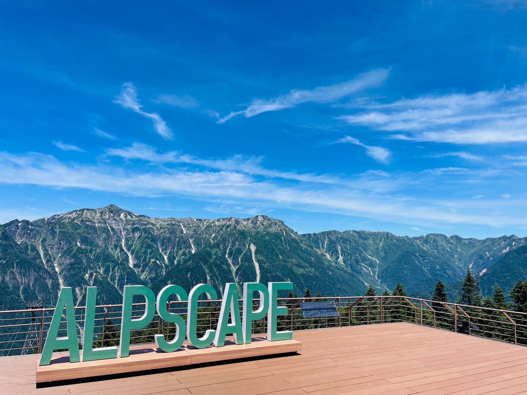 【2部屋限定】コアラのマーチルームがリニューアル!壁から天井までコアラ尽くしのオリジナルデザイン/ロッテシティホテル錦糸町