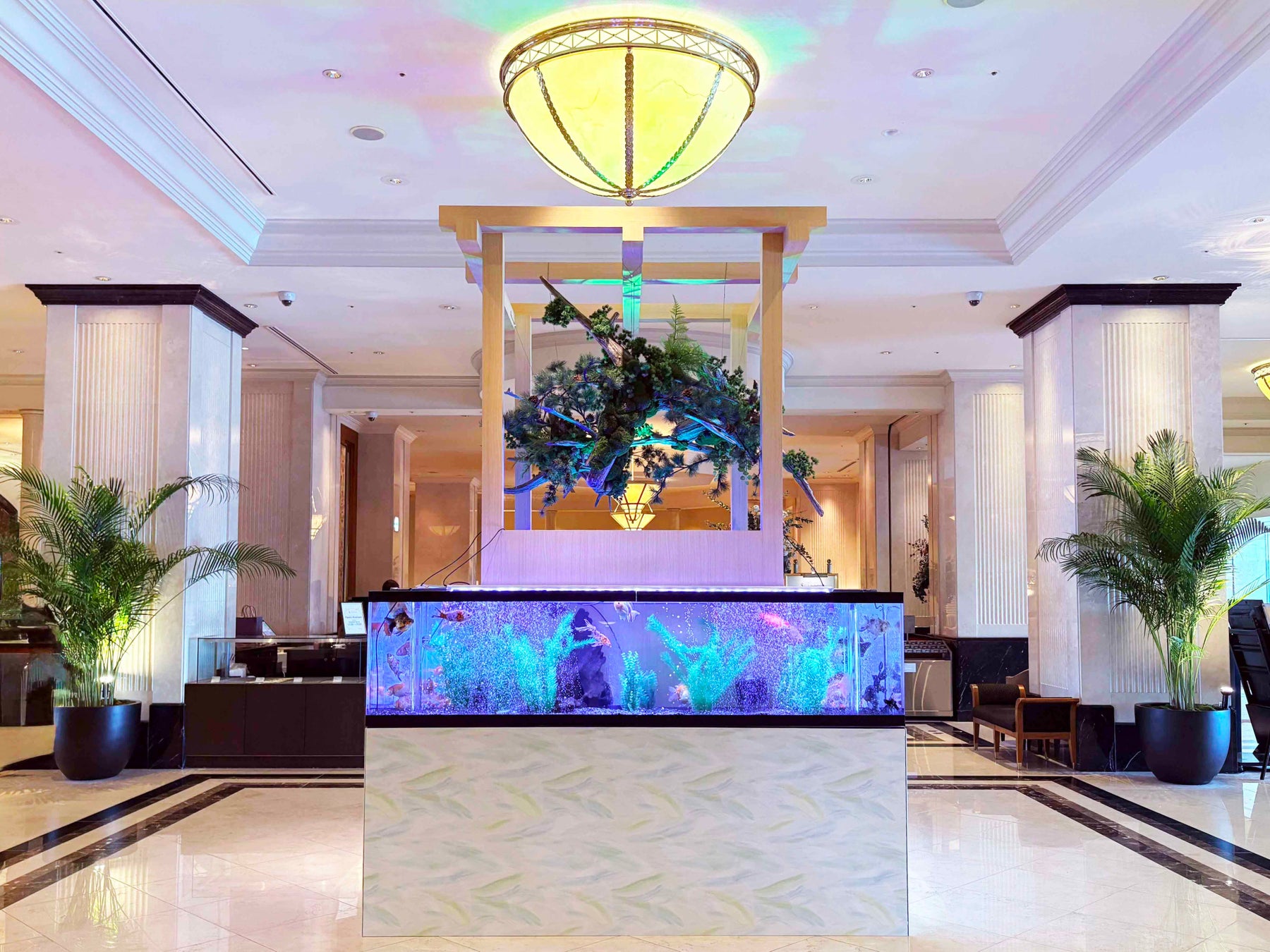 8/10(⽇) SUPER FORMULA Rd.8 スポーツランドSUGO ハジ→さんによる国歌独唱とトーク&ライブ決定!