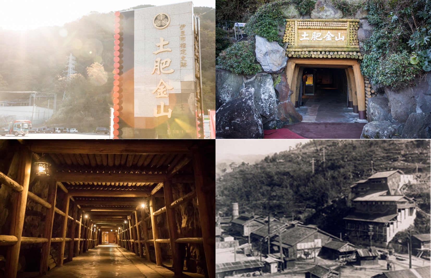 【1955 東京ベイ】朝5時～翌日14時まで、33時間客室利用可能！仮装を全力で楽しむための宿泊プラン「Halloween 33h Stay Plan」今年も発売