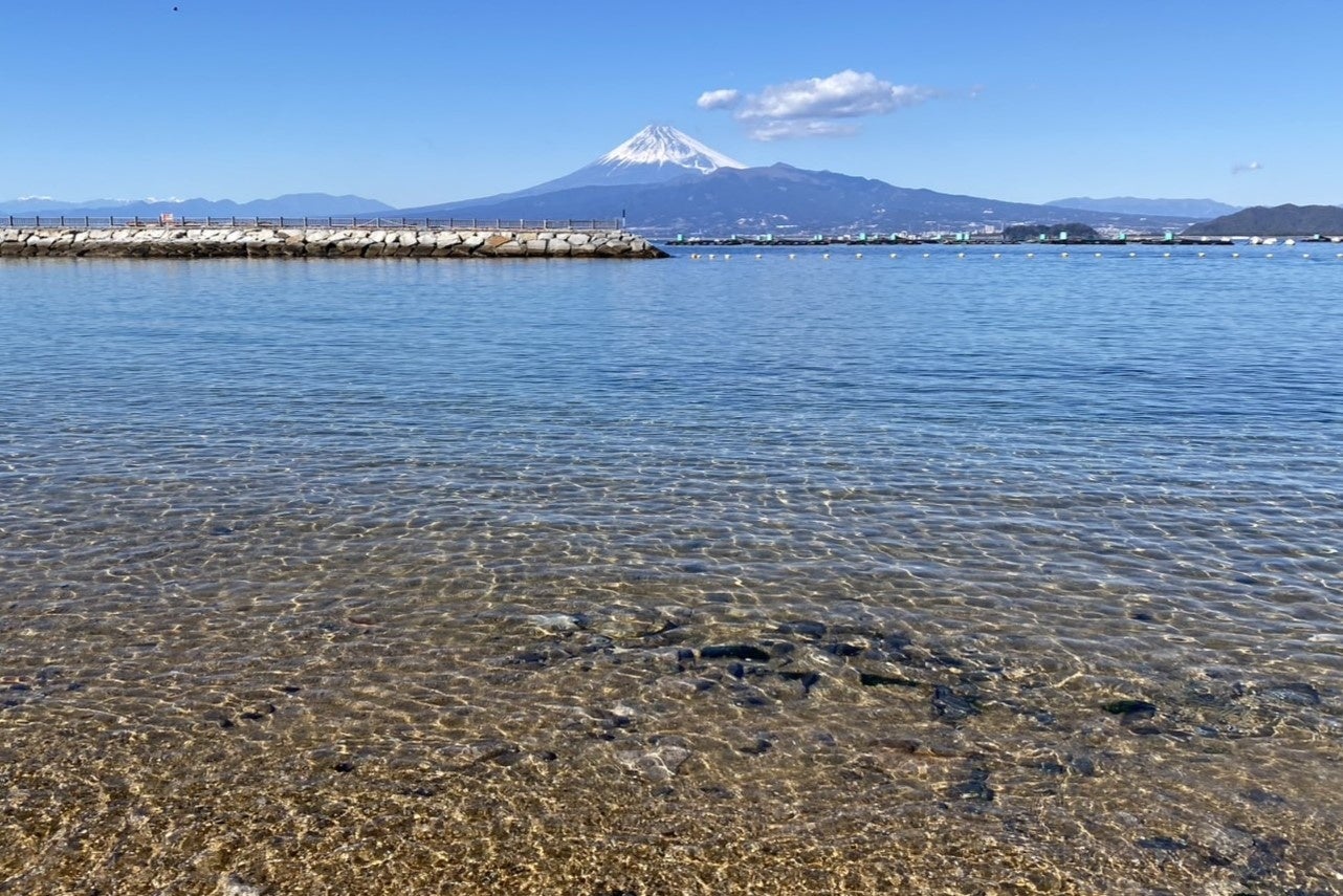【JAF山形】JAFフェスティバル東北 in 王将果樹園「ぶどう狩り体験」を開催します