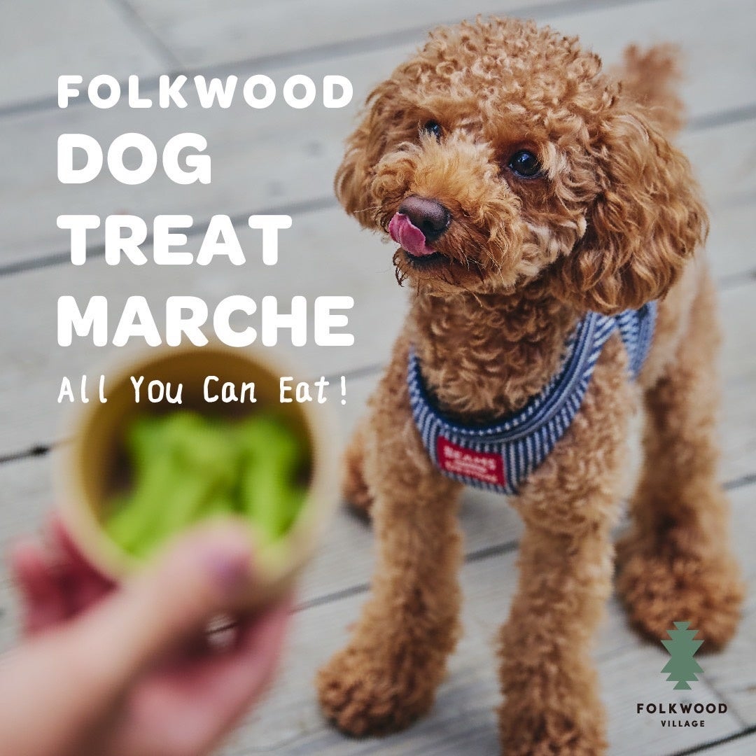 「うんこミュージアム OKINAWA」8月1日にチケット販売開始!イオンモール沖縄ライカムに9月19日オープン!