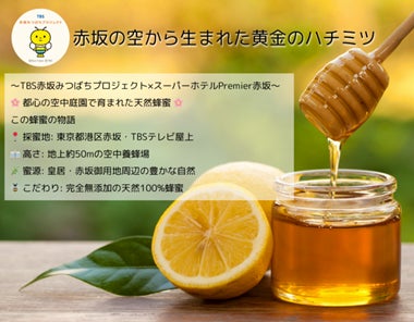 トキエア、夏ダイヤ増便販売に関するお知らせ