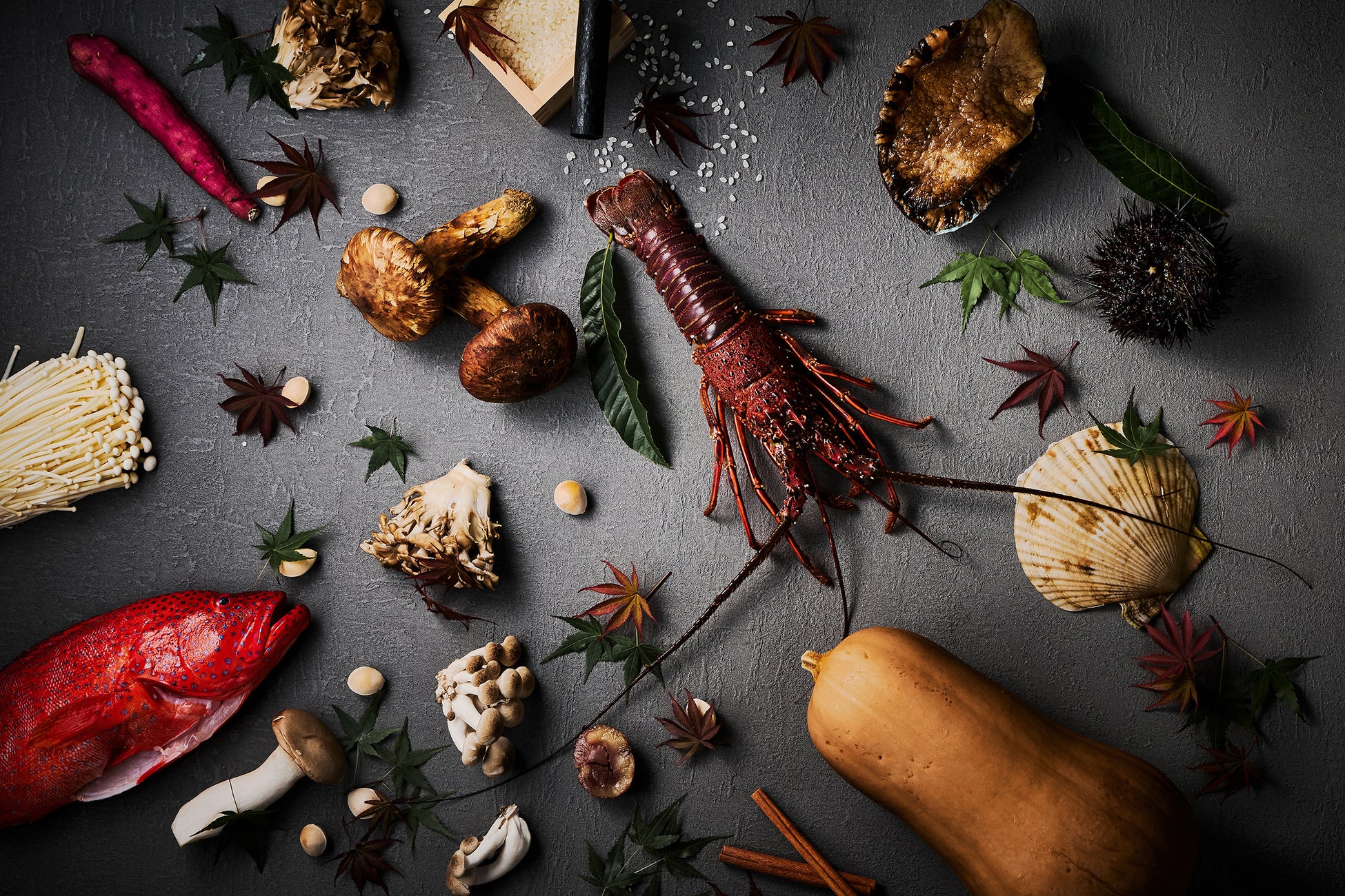 JAL最高峰のメタルカード「JAL Luxury Card」が誕生 ~ラグジュアリーカードとの提携により、新しいクレジットカードを2025年8月1日リリース~