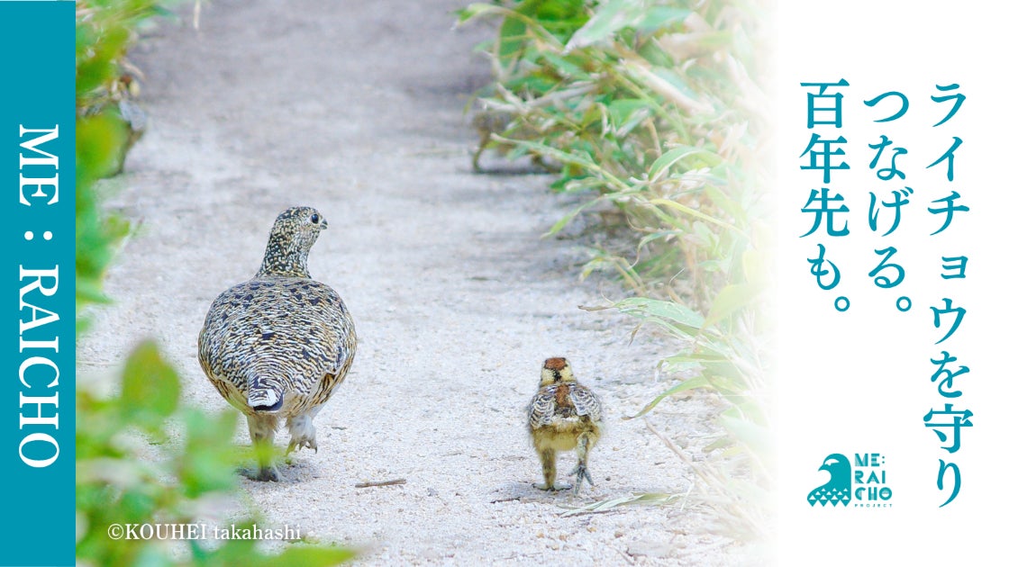 “究極の米焼酎”が日本最大のクルーズ船へ——高橋酒造「百(ひゃく)」、「飛鳥Ⅲ」の船内レストラン「海彦」にて提供開始