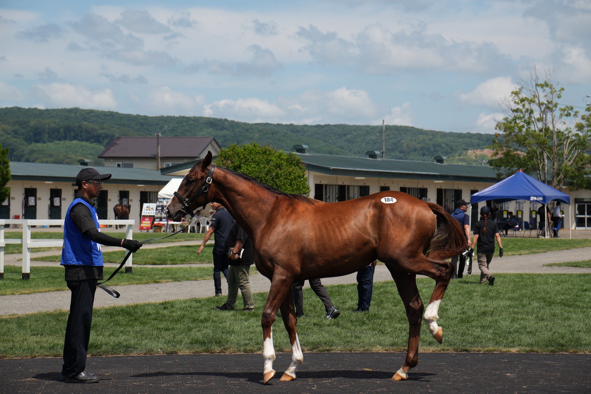 【大分・城島高原パーク】映画『カラダ探しTHE LAST NIGHT』コラボイベント開催中!“謎解き”דホラー”に没入する体験型「カラダ探し」やキャストによるアナウンスも