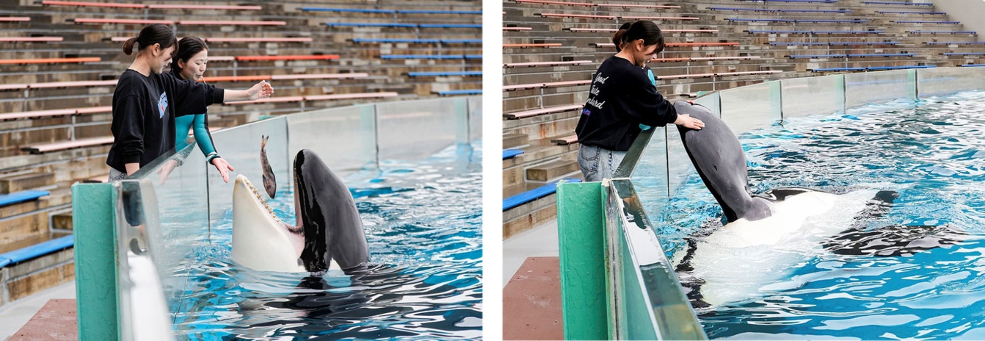 アウトドアから家庭の食卓まで——「アウトドアスパイス ほりにし」、累計出荷本数1,000万本を突破!