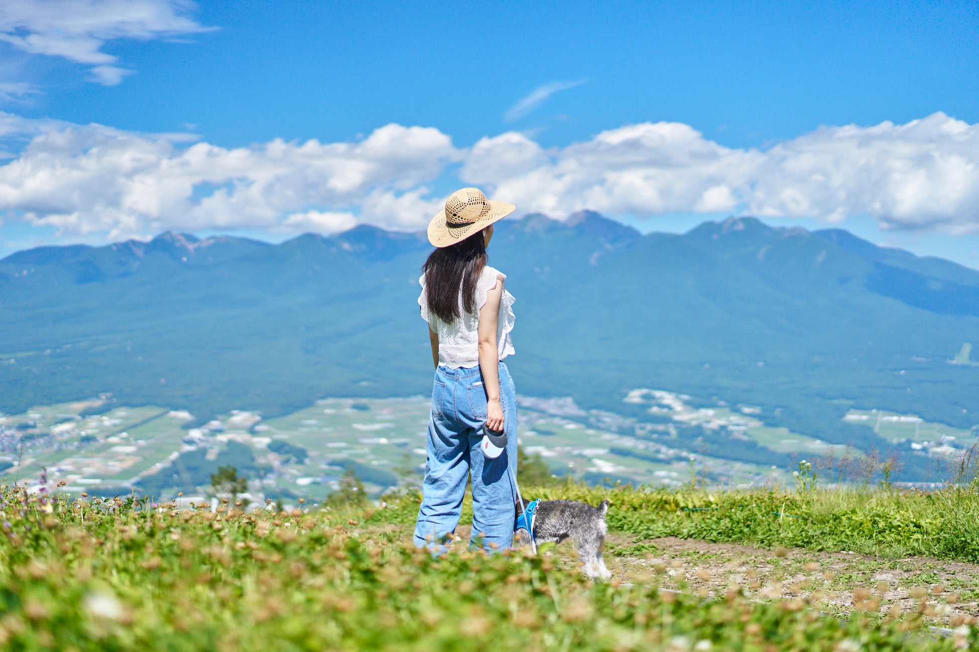 事故リスクが相次ぐジャンプ式折りたたみ日傘、安全性に注目集まる。楽天1位獲得『晴雫(はれしずく)』が搭載する“逆戻り防止ロック”が評価される背景。激戦の7月、楽天週間1位を記録。安全性が“購買の理由”