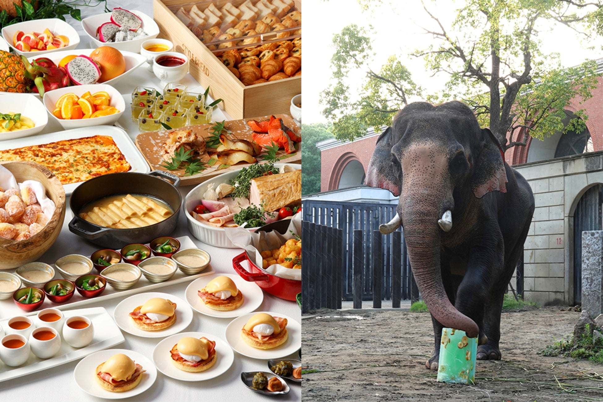 カードサイズの本格レザーギア。登山・旅・フェスに馴染む“育てる財布”の限定カラーが山の日に発売。