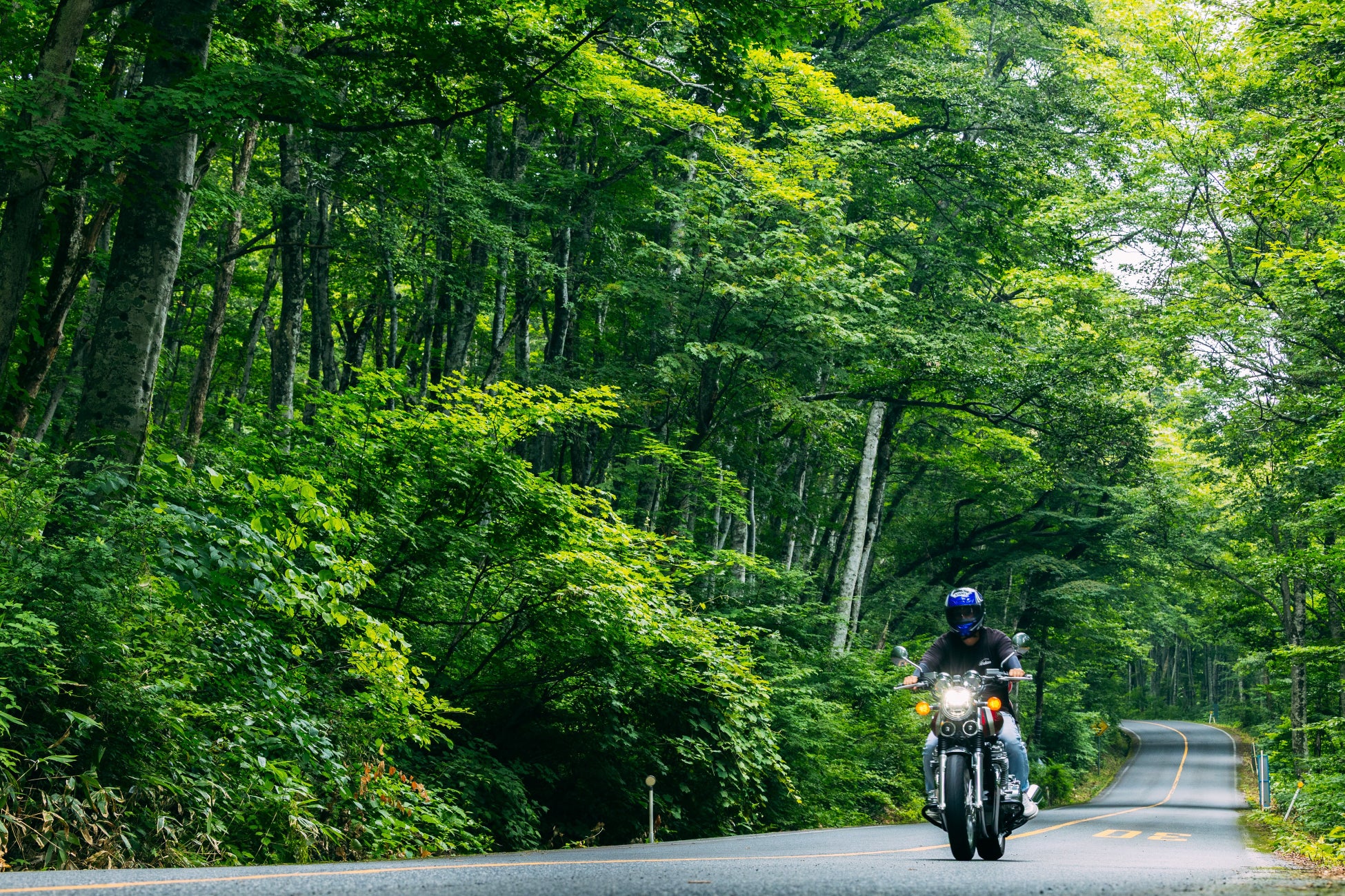 キャラ特化型犬カフェ『超！サモエド』が正式オープン！犬カフェ業界初『WEGO』とのコラボも実現。