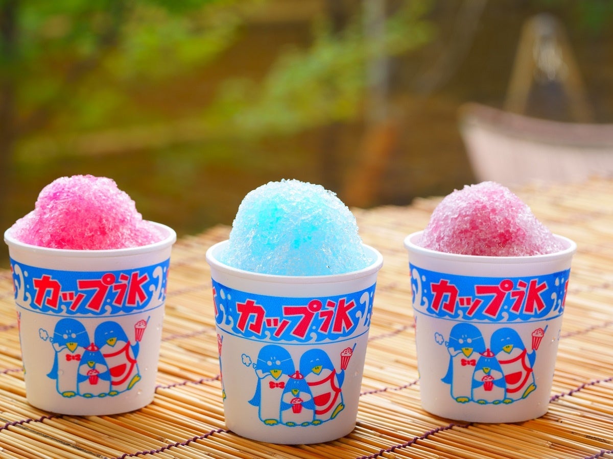 キャラ特化型犬カフェ『超！サモエド』が正式オープン！犬カフェ業界初『WEGO』とのコラボも実現。